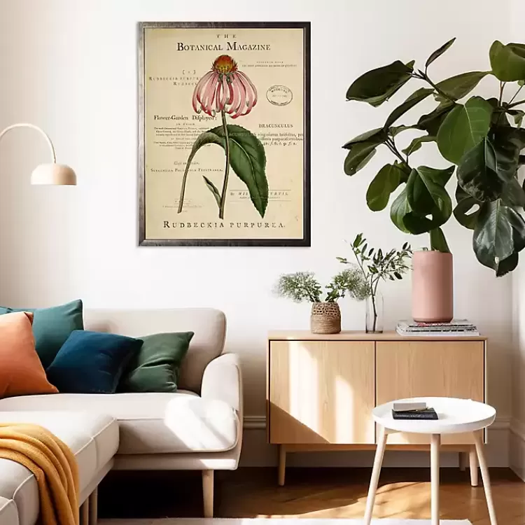 Coneflower Botanical Magazine Framed Art Print>Kirklands Home Outlet
