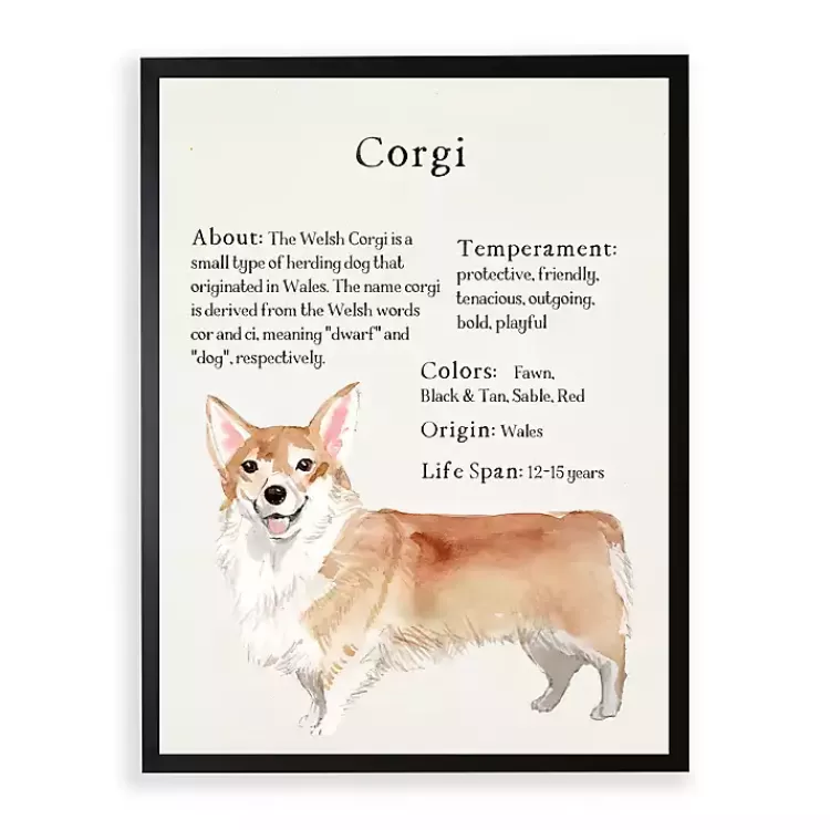 Corgi Facts Framed Wall Plaque>Kirklands Home Flash Sale