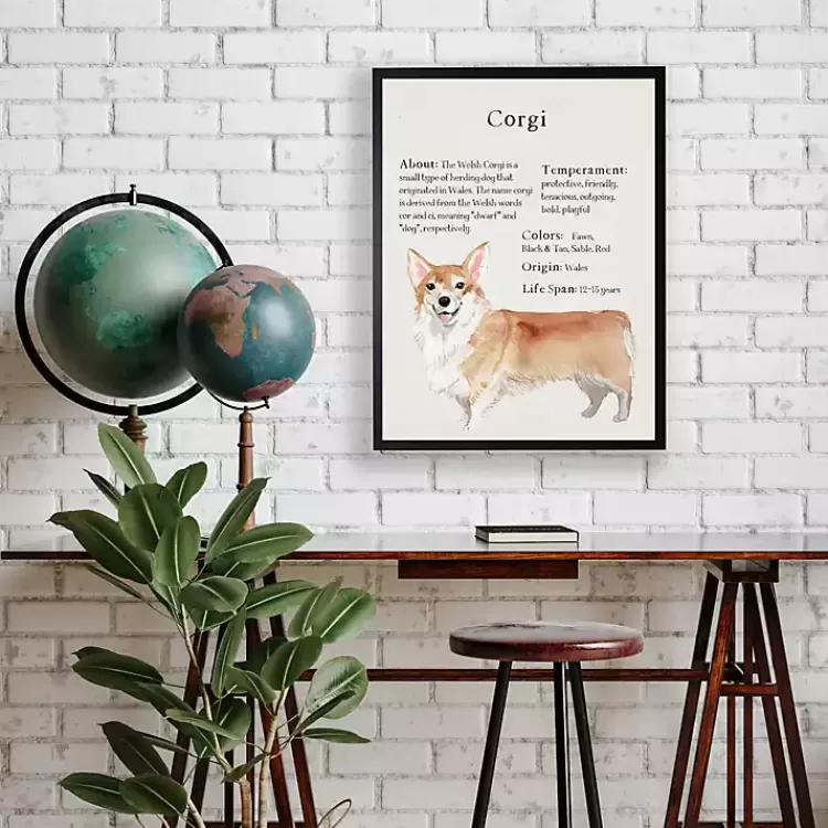 Corgi Facts Framed Wall Plaque>Kirklands Home Flash Sale