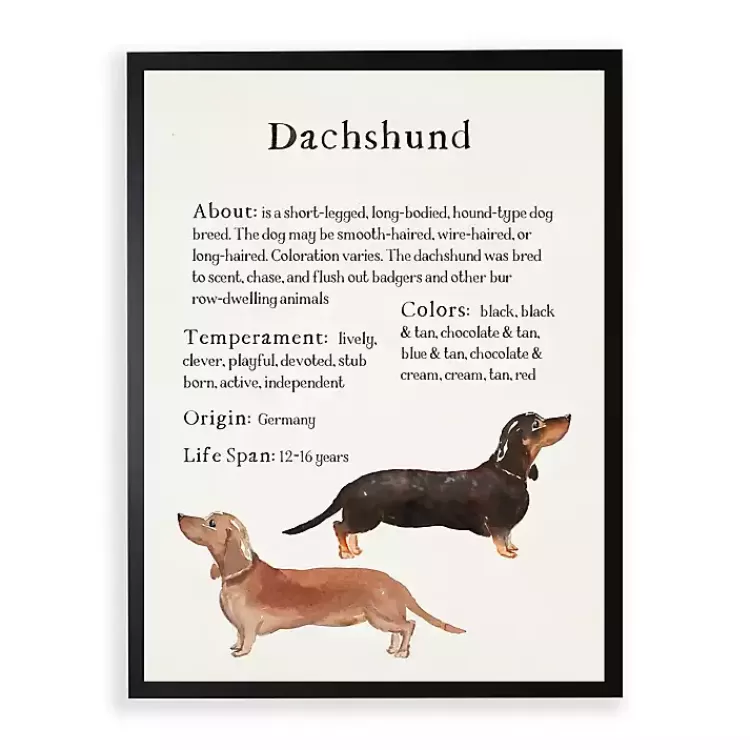 Dachshund Facts Framed Wall Plaque>Kirklands Home Cheap