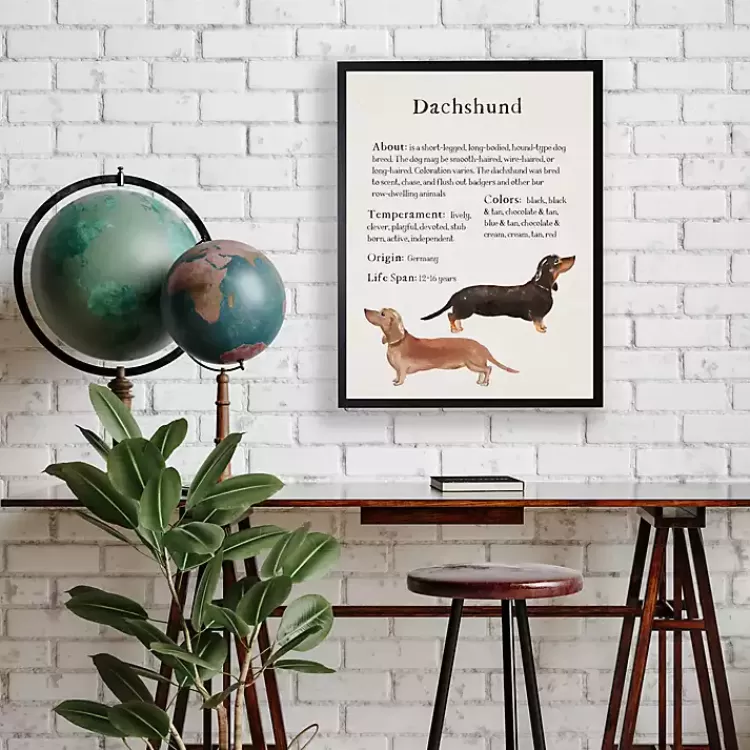 Dachshund Facts Framed Wall Plaque>Kirklands Home Cheap
