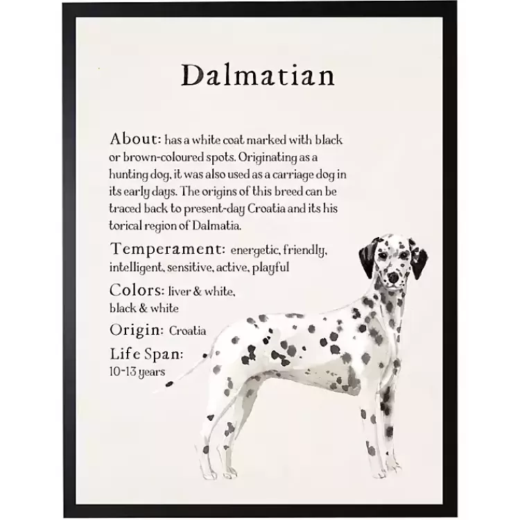 Dalmation Facts Framed Wall Plaque>Kirklands Home Discount