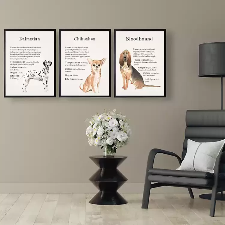 Dalmation Facts Framed Wall Plaque>Kirklands Home Discount