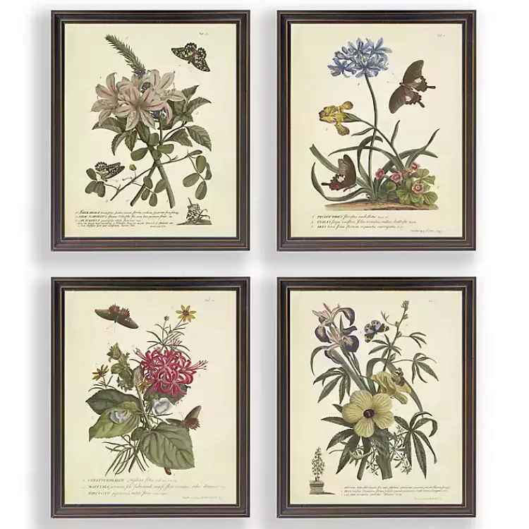 Day Butterfly Blooms Framed Art Prints, Set of 4>Kirklands Home Sale
