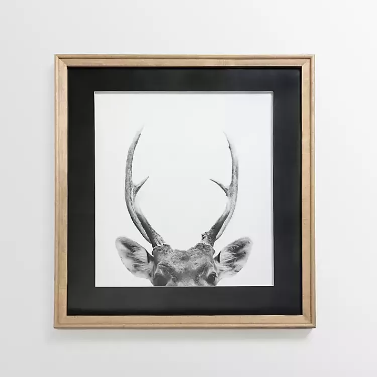 Deer Antlers Framed Art Print>Kirklands Home Online