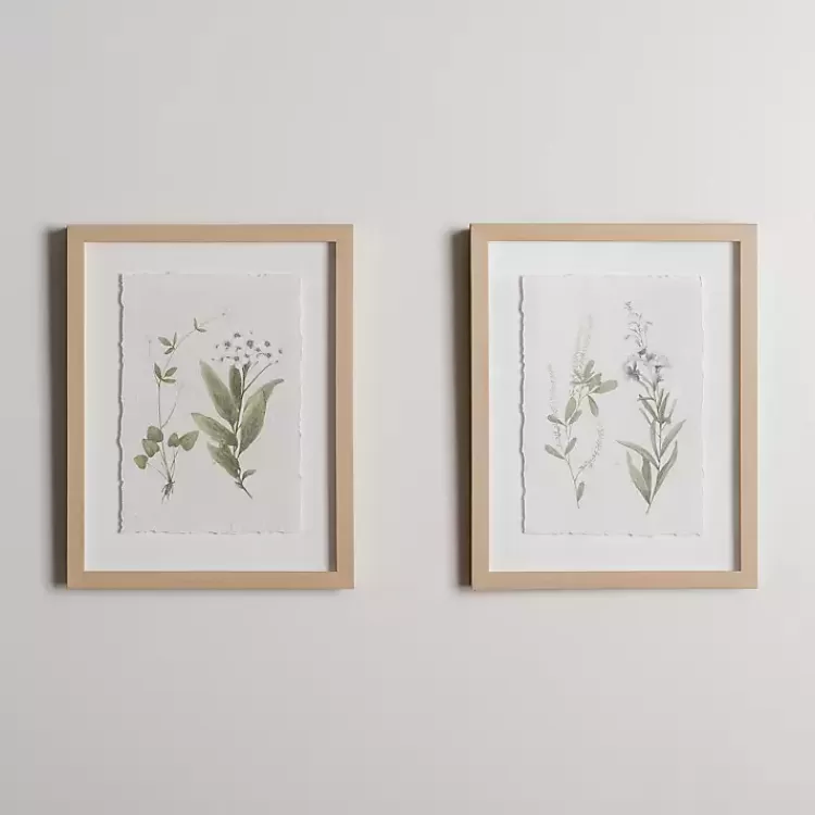 Delicate Botanical Framed Art Prints, Set of 2>Kirklands Home New
