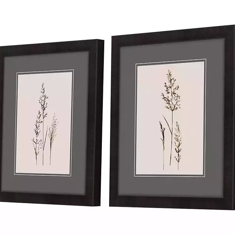 delicate_stems_framed_art_prints_set_of__2.webp Delicate Stems Framed Art Prints, Set of 2>Kirklands Home Flash Sale