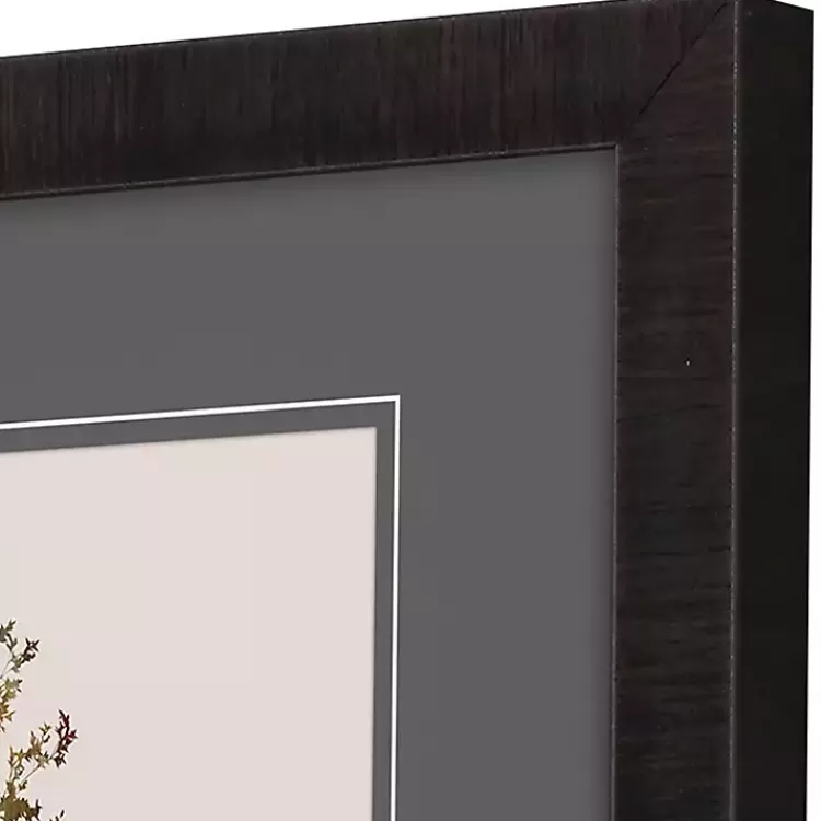 delicate_stems_framed_art_prints_set_of__3.webp Delicate Stems Framed Art Prints, Set of 2>Kirklands Home Flash Sale