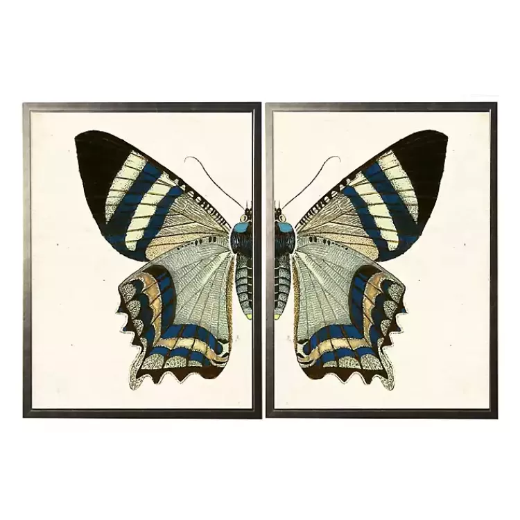 Diptych Butterfly Framed Art Print, Set of 2>Kirklands Home Outlet