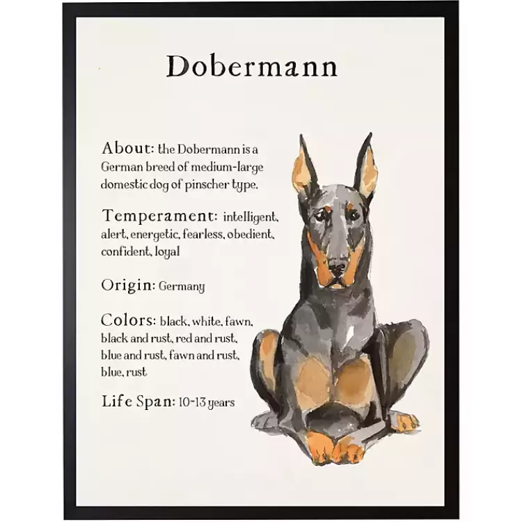 Dobermann Facts Framed Wall Plaque>Kirklands Home New
