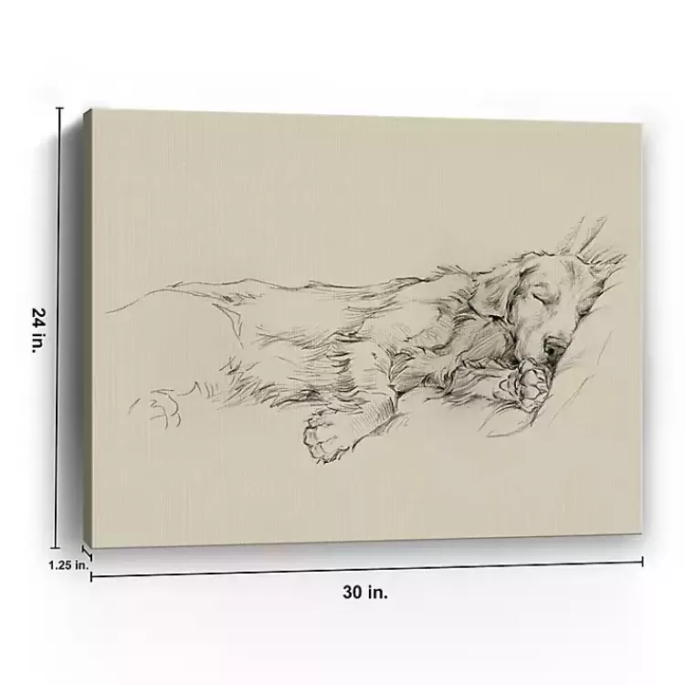 Dog Days III Canvas Art Print>Kirklands Home Sale