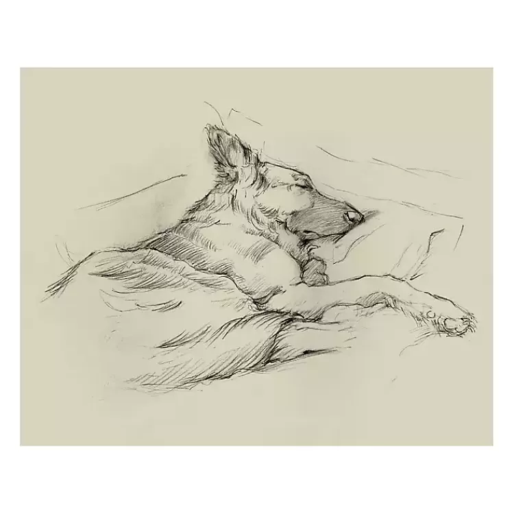 Dog Days IV Canvas Art Print>Kirklands Home Discount