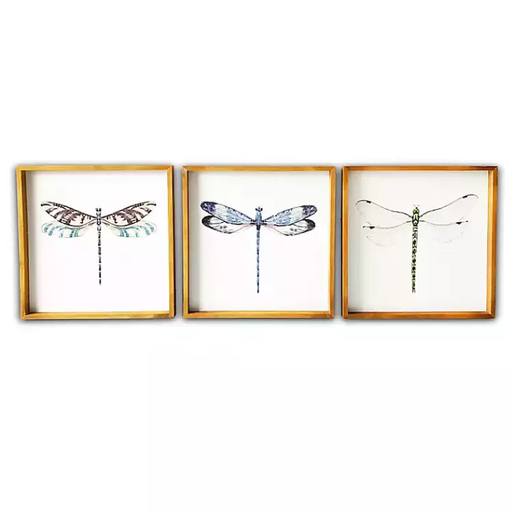 Dragonfly Framed Art Prints, Set of 3>Kirklands Home Online