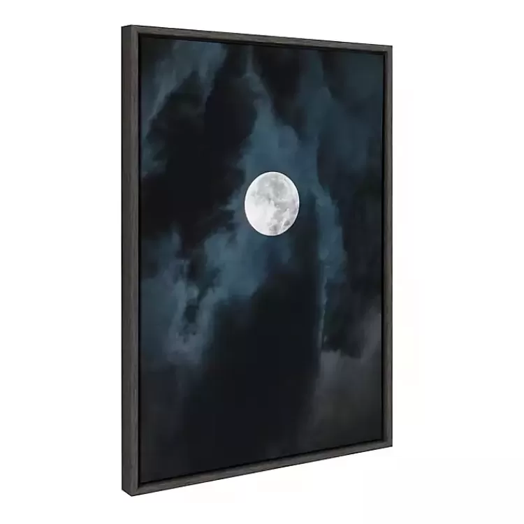 Driftless Moon Framed Canvas Art Print>Kirklands Home Discount