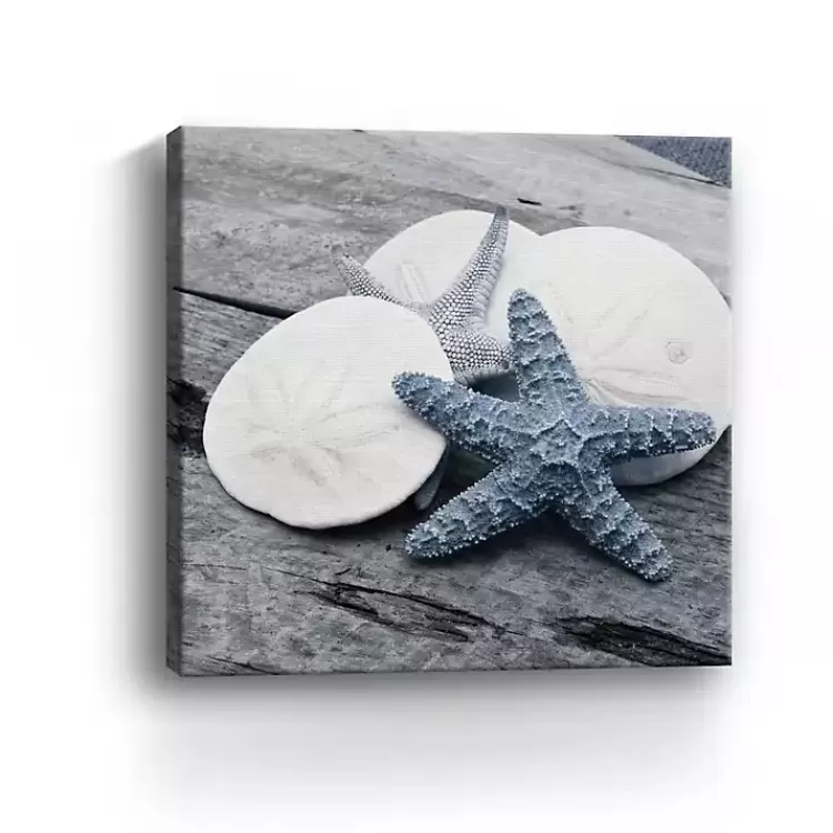 driftwood_shell_iv_canvas_art_print_x_in_2.webp Driftwood Shell IV Canvas Art Print, 30x30 in.>Kirklands Home Clearance