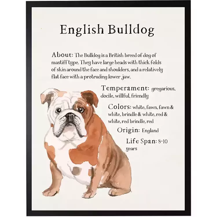 English Bulldog Facts Framed Wall Plaque>Kirklands Home Fashion