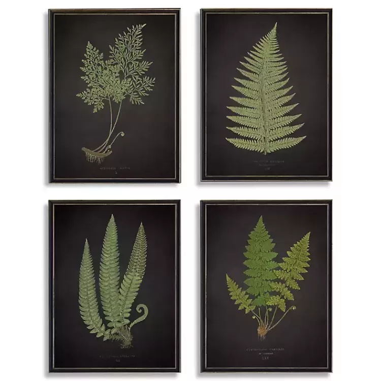 Fern Framed Art Prints, Set of 4>Kirklands Home Shop