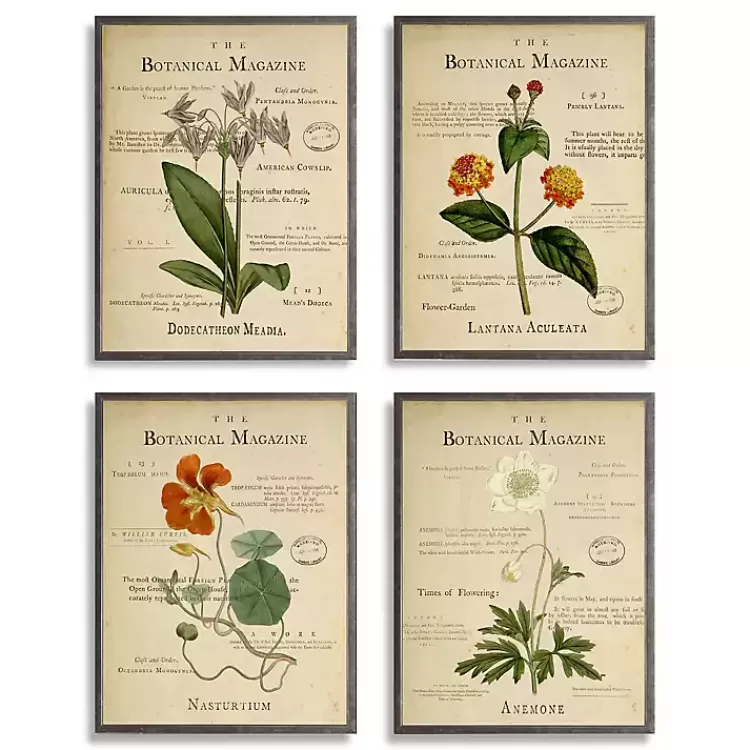 Flower Illustrations Framed Art Prints, Set of 4>Kirklands Home Shop
