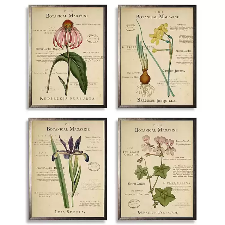 Flower Magazine Framed Art Prints, Set of 4>Kirklands Home Hot