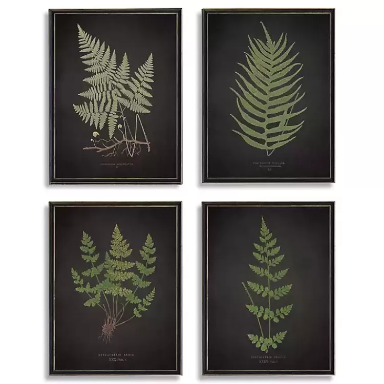 Four Ferns Framed Art Prints, Set of 4>Kirklands Home Fashion