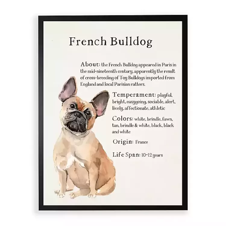 French Bulldog Boxer Facts Framed Wall Plaque>Kirklands Home Outlet