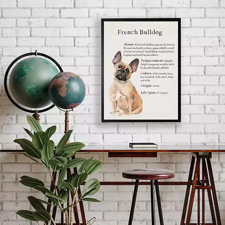 French Bulldog Boxer Facts Framed Wall Plaque>Kirklands Home Outlet