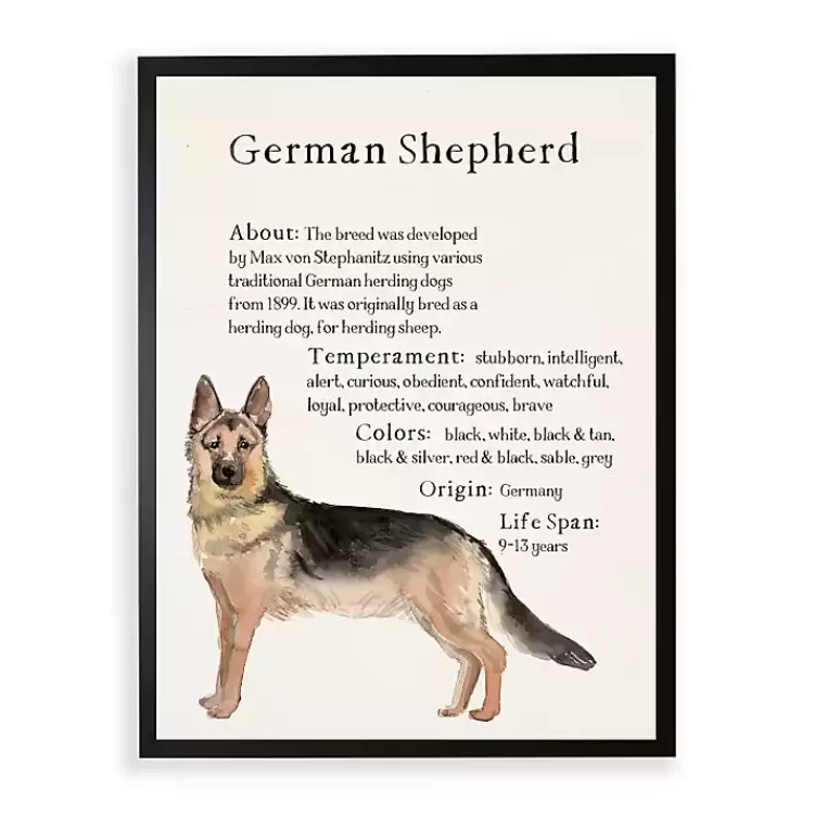 German Shepherd Facts Framed Wall Plaque>Kirklands Home Outlet