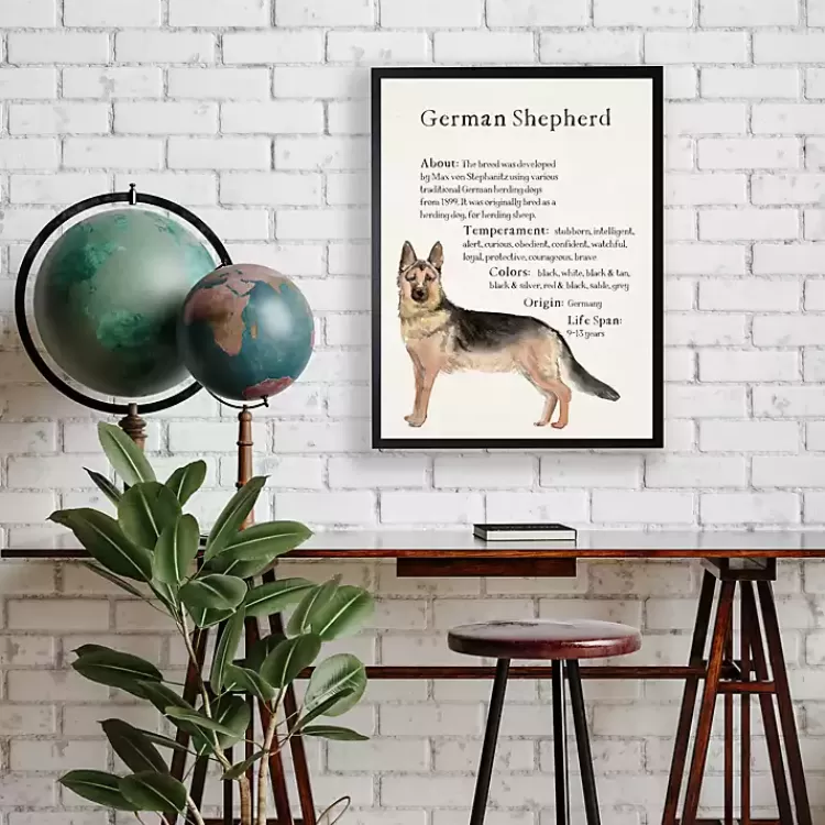 German Shepherd Facts Framed Wall Plaque>Kirklands Home Outlet