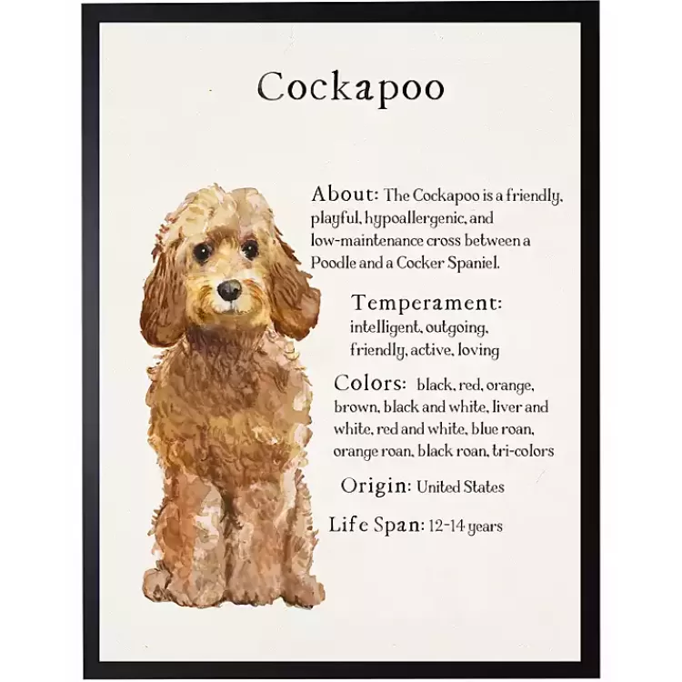 Golden Cockapoo Facts Framed Wall Plaque>Kirklands Home Cheap
