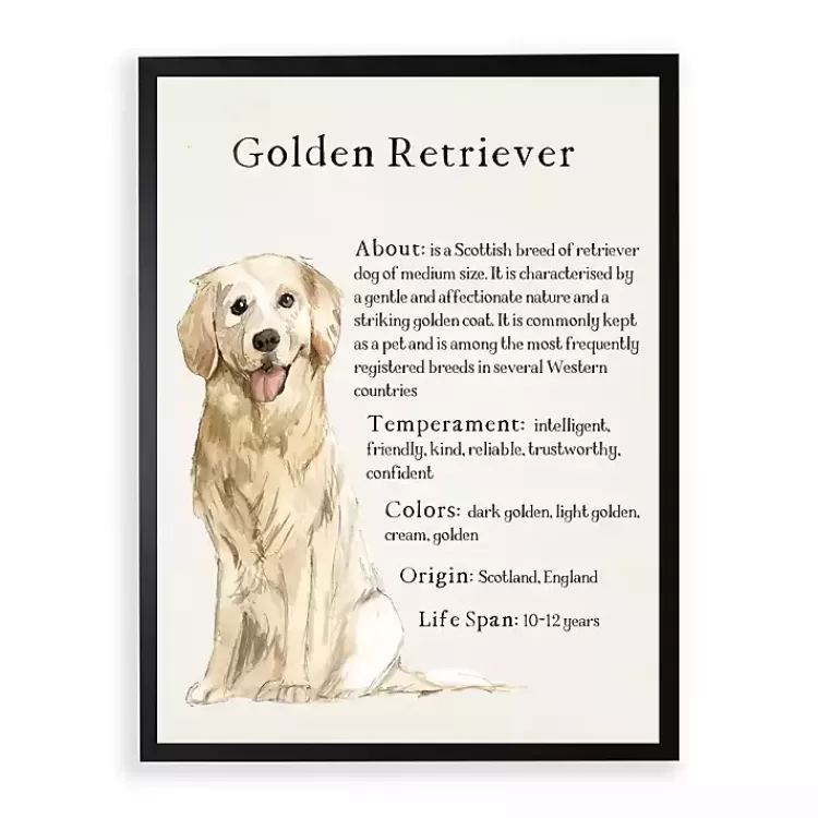 Golden Retriever Boxer Facts Framed Wall Plaque>Kirklands Home Outlet