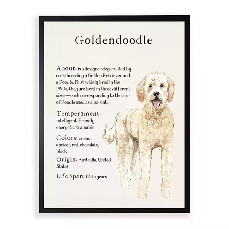 Goldendoodle Facts Framed Wall Plaque>Kirklands Home Sale