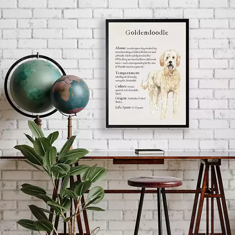 Goldendoodle Facts Framed Wall Plaque>Kirklands Home Sale