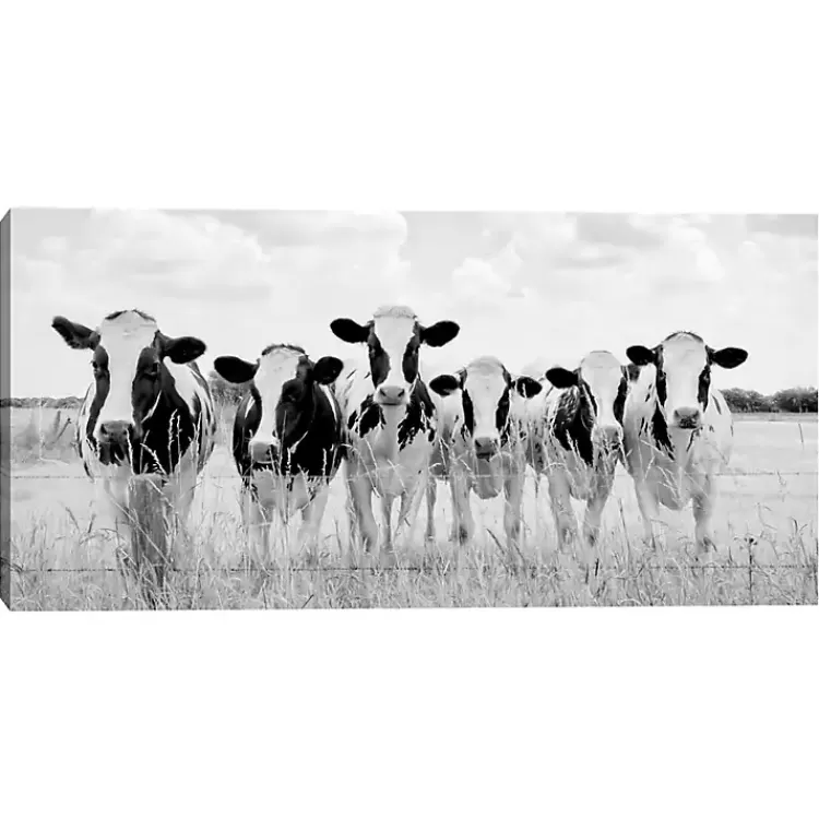 Grazing Cow Monochrome Canvas Art Print, 35x17 in.>Kirklands Home Online