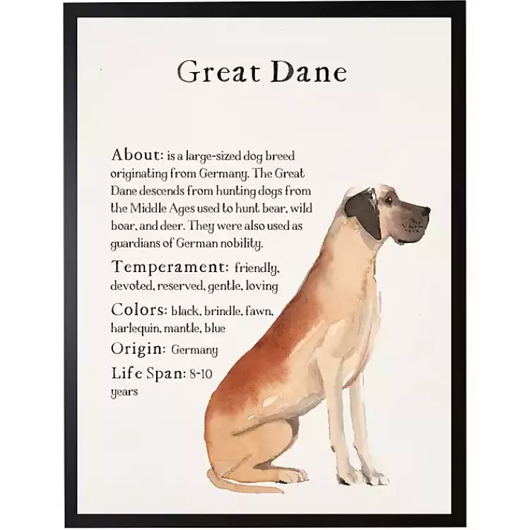 Great Dane Facts Framed Wall Plaque>Kirklands Home Hot