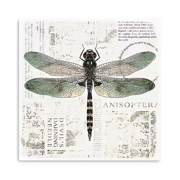 Green Dragonfly Canvas Art Print>Kirklands Home Discount