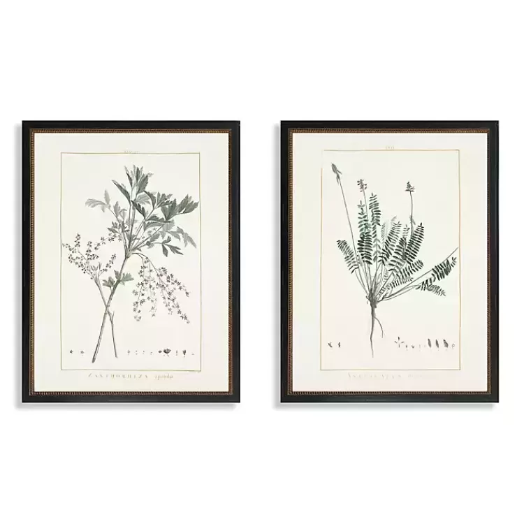 Greenery I Framed Art Prints, Set of 2>Kirklands Home Best