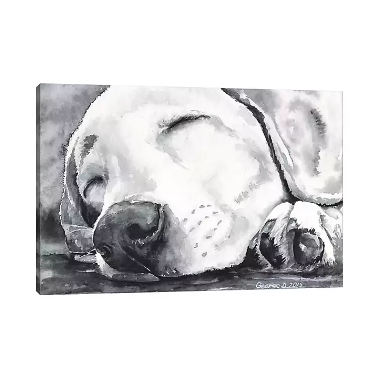 Happy Dreams Dog Giclee Canvas Art Print, 40x26>Kirklands Home Cheap