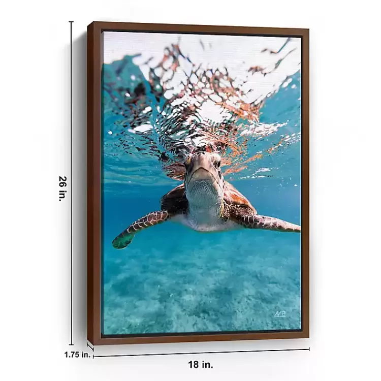 hello_turtle_framed_canvas_art_print_2.webp Hello Turtle Framed Canvas Art Print>Kirklands Home New