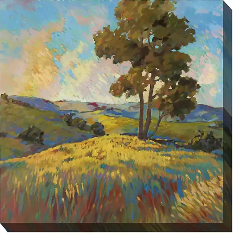 High Ground Outdoor Canvas Art Print>Kirklands Home Shop