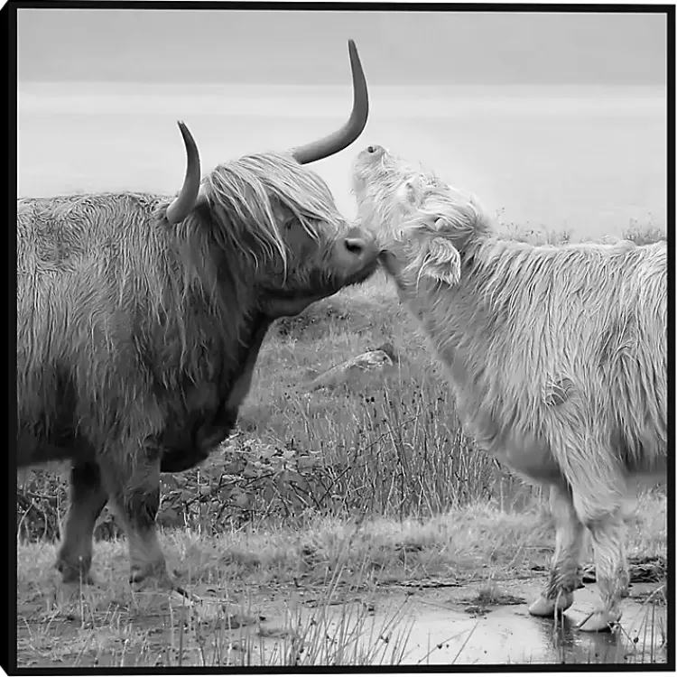 Highland Courting Framed Canvas Art Print>Kirklands Home Best