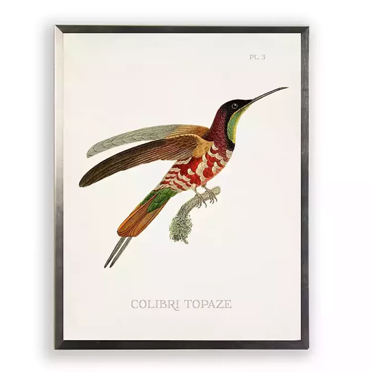 Hummingbird I Framed Art Print>Kirklands Home Sale
