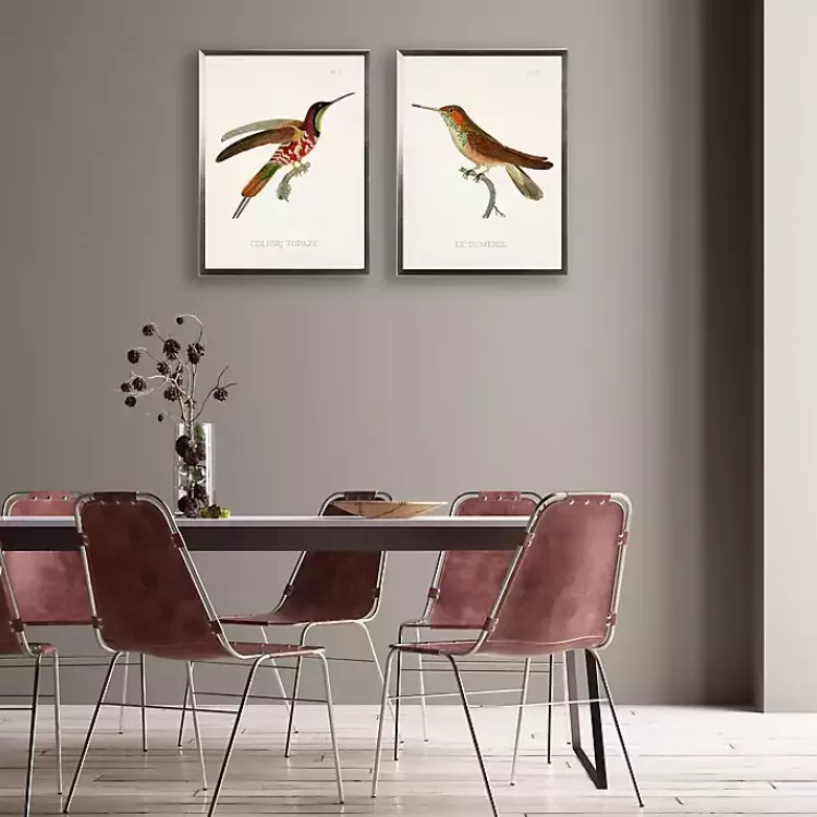 Hummingbird I Framed Art Print>Kirklands Home Sale