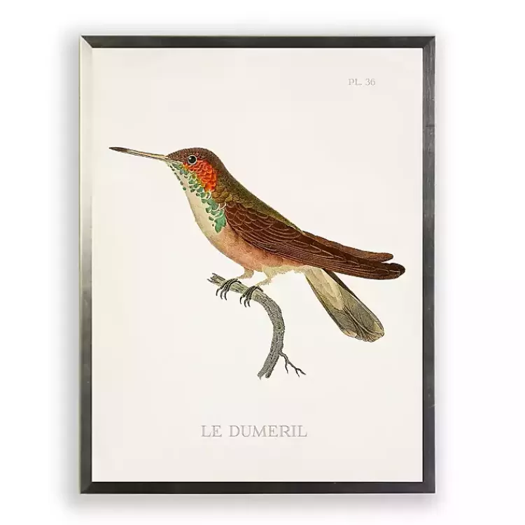 Hummingbird II Framed Art Print>Kirklands Home Best
