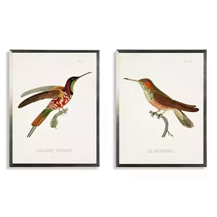 Hummingbirds I Framed Art Prints, Set of 2>Kirklands Home Fashion