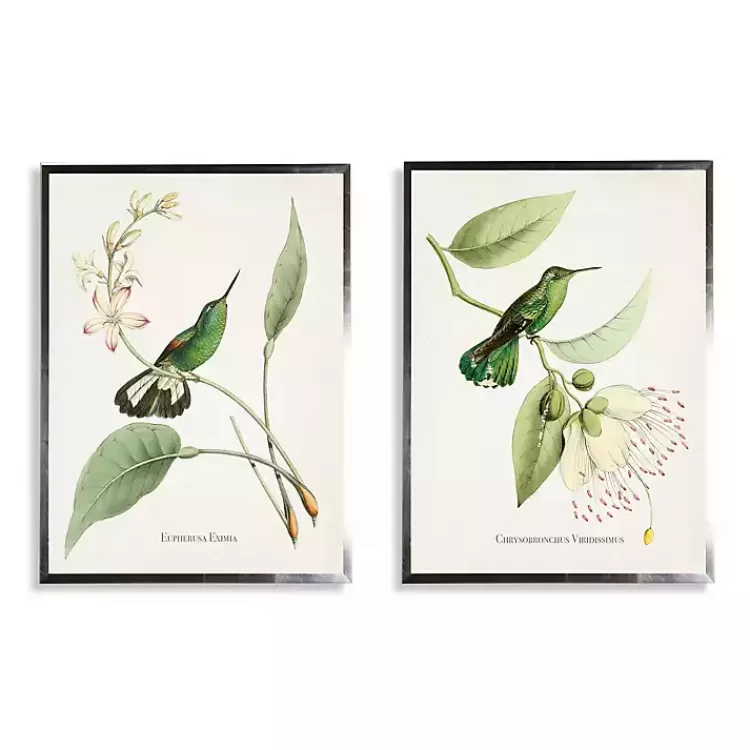 Hummingbirds on Flowers 2-pc. Framed Art Print Set>Kirklands Home Shop