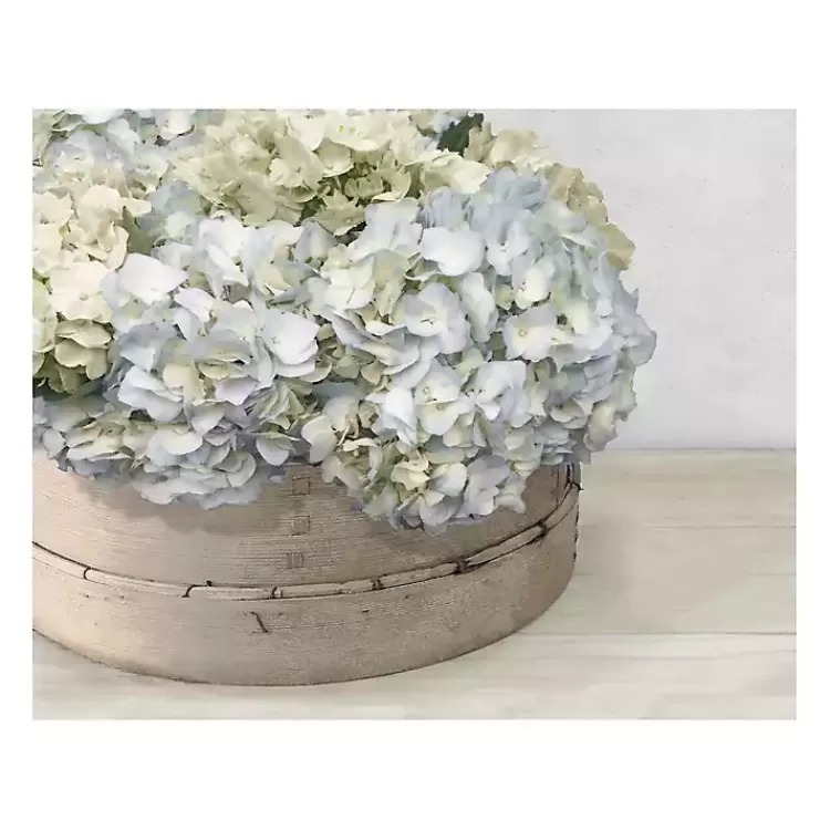 Hydrangea Cluster Canvas Art Print>Kirklands Home Online
