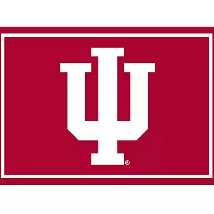 Indiana University Area Rug, 3x4>Kirklands Home Flash Sale