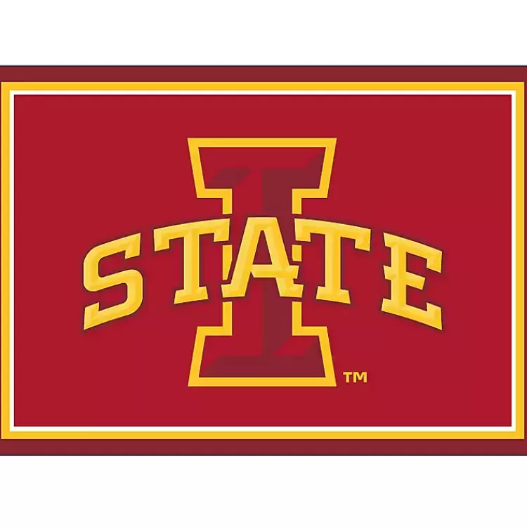 Iowa State University Area Rug, 3x4>Kirklands Home Best