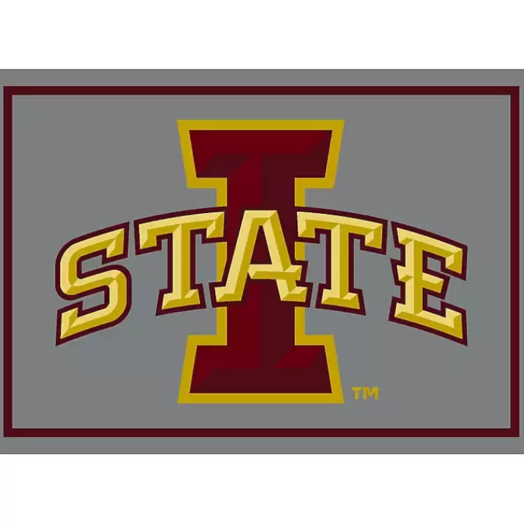 Iowa State University Area Rug, 4x6>Kirklands Home Clearance