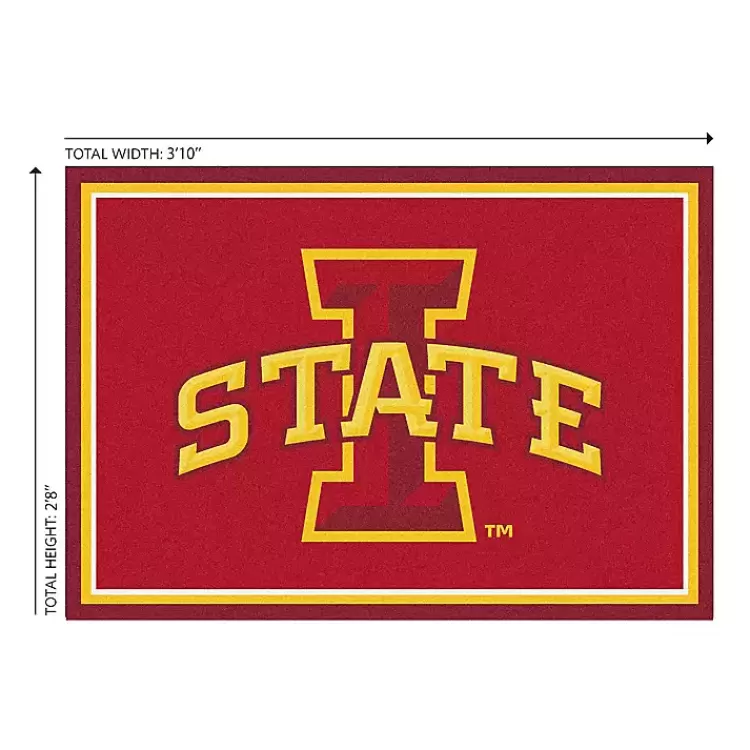 Iowa State University Area Rug, 3x4>Kirklands Home Best